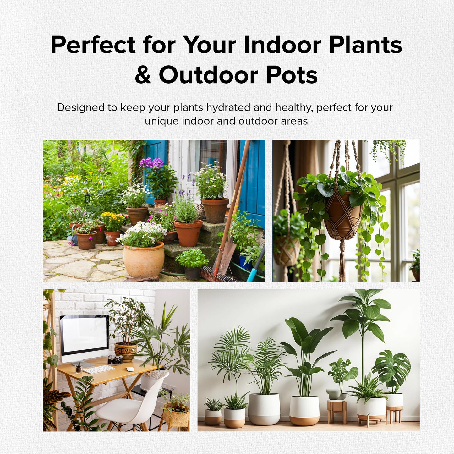 Olla Watering Spikes (Set of 4)