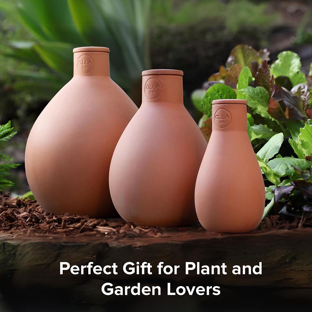 watering pot for plants Olla Watering Pot – The Olla Company