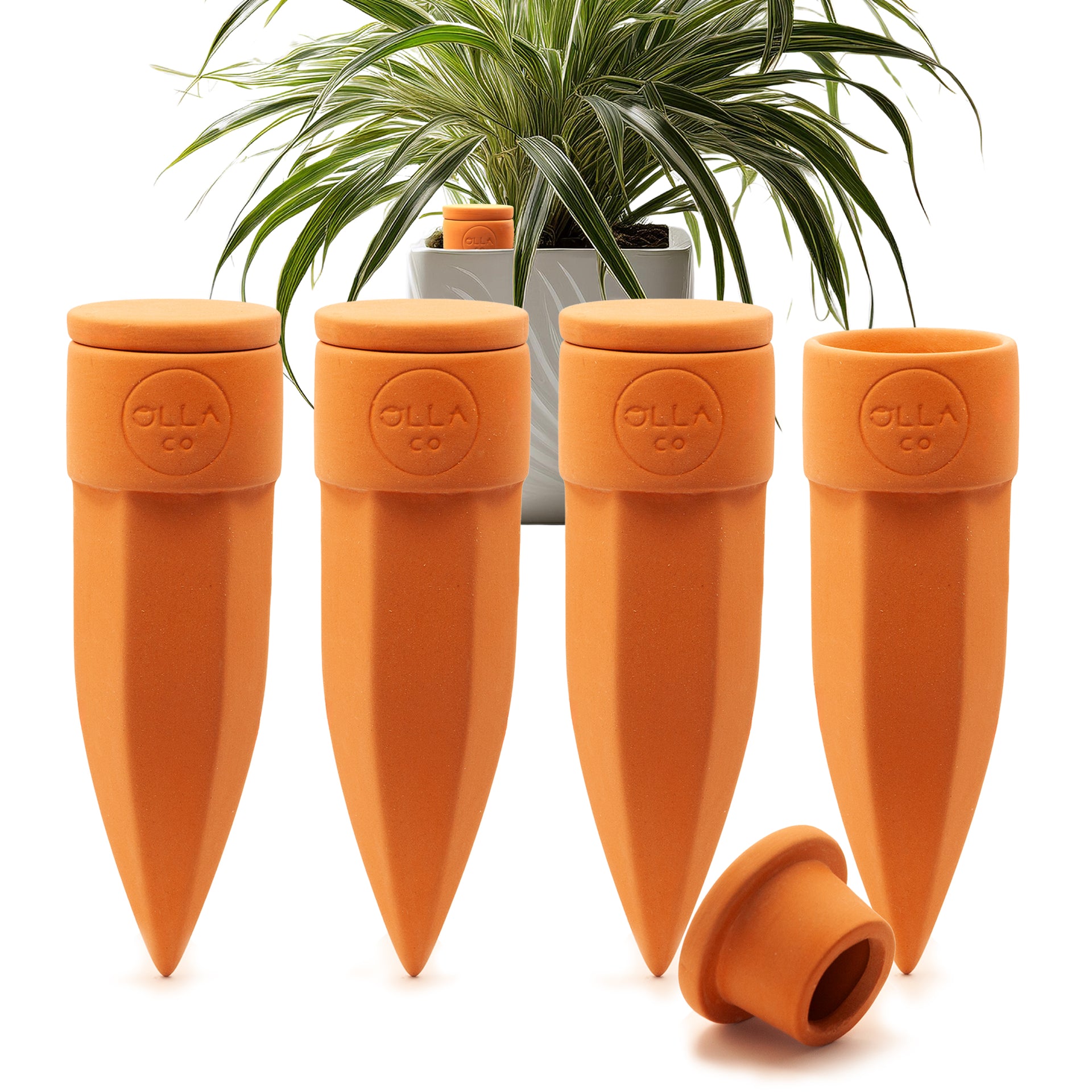 house plant watering spikes Olla Watering Spikes – The Olla Company