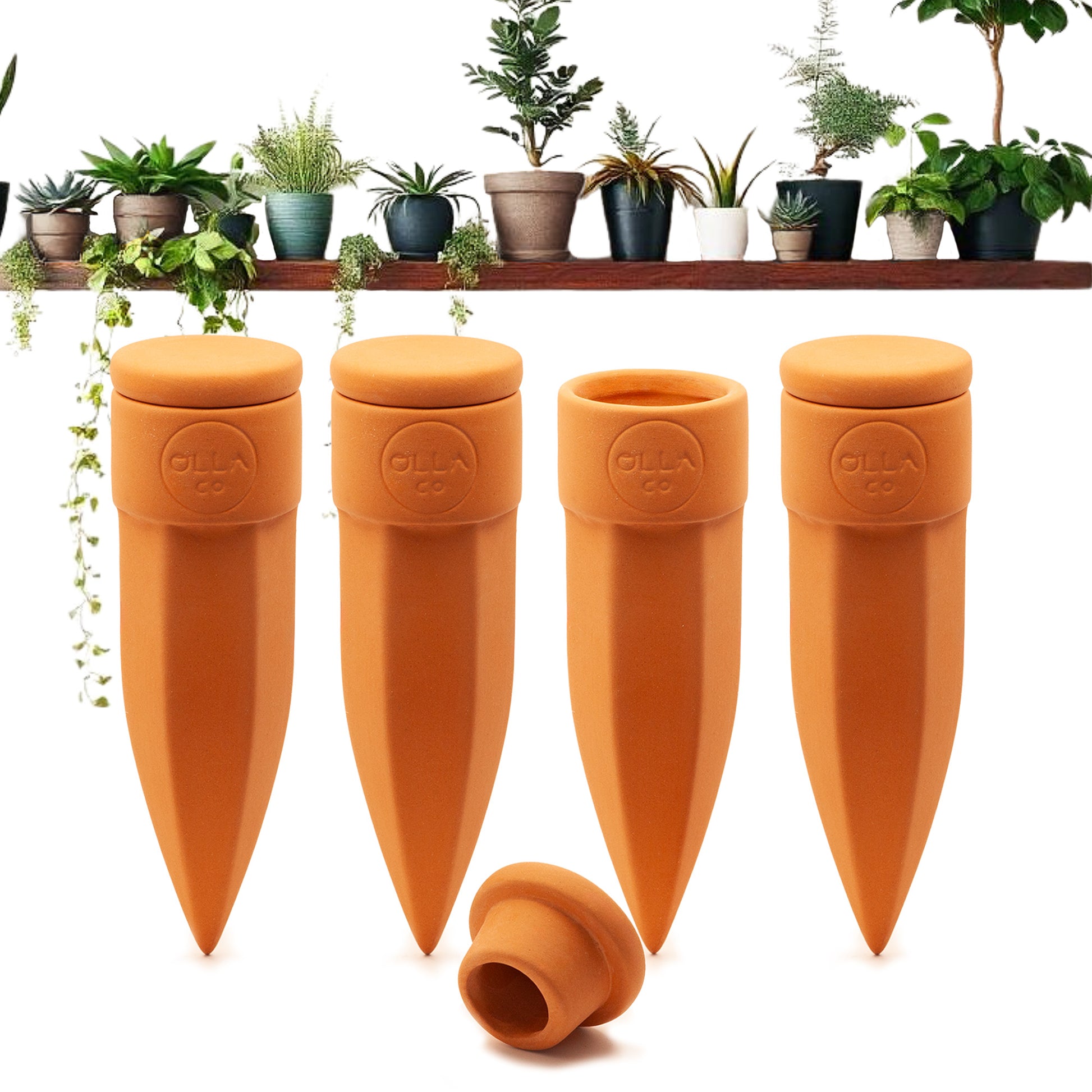 plant self watering stakes Olla Watering Spikes – The Olla Company