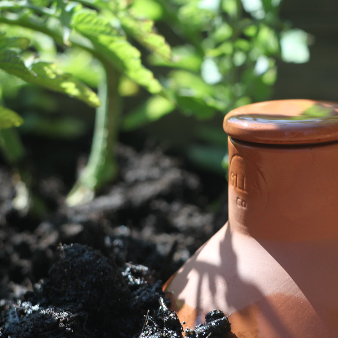 Olla Watering Pot