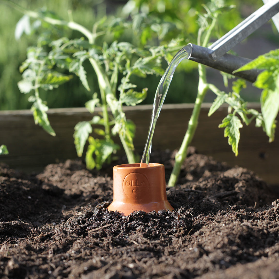 Olla Watering Pot