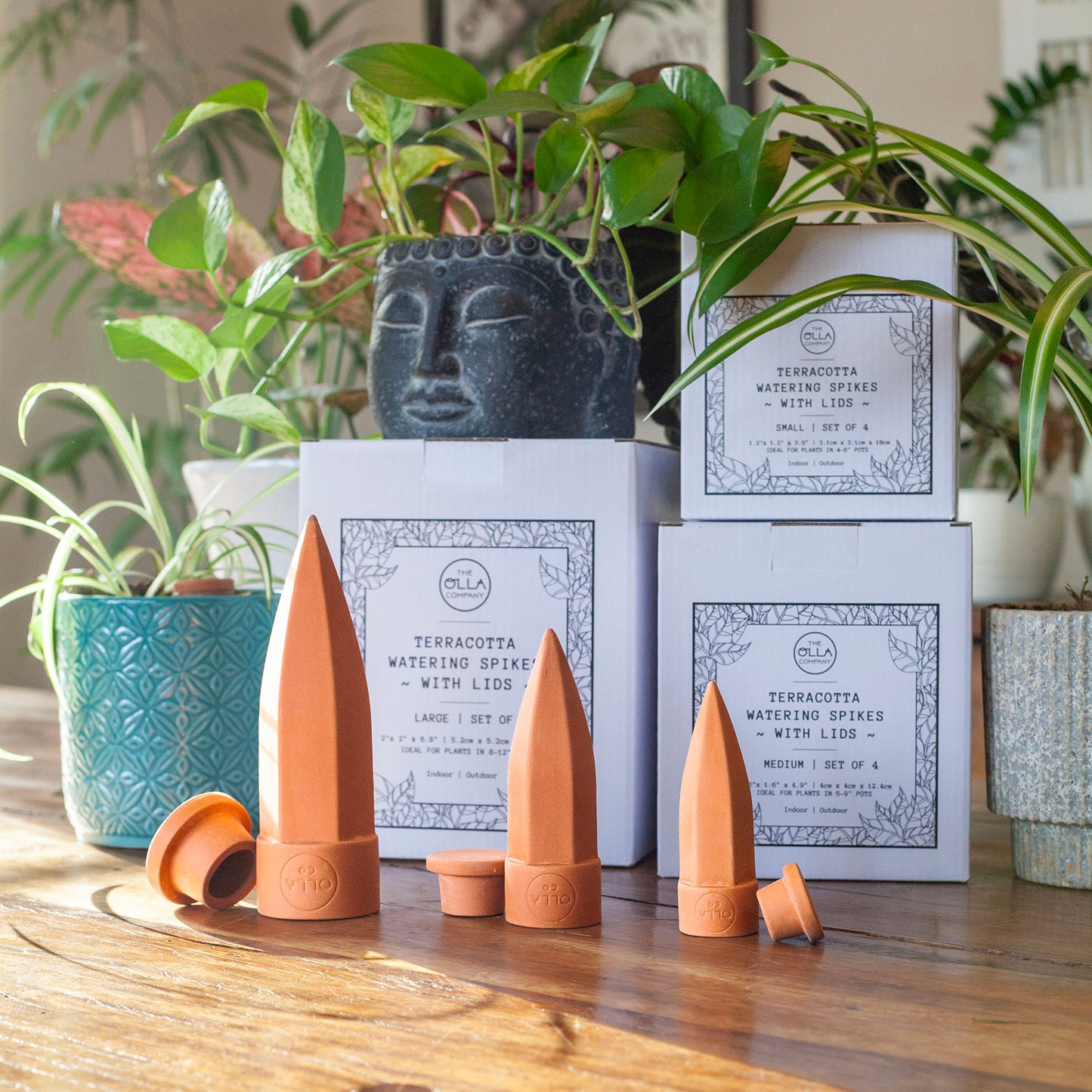 Olla Watering Spikes