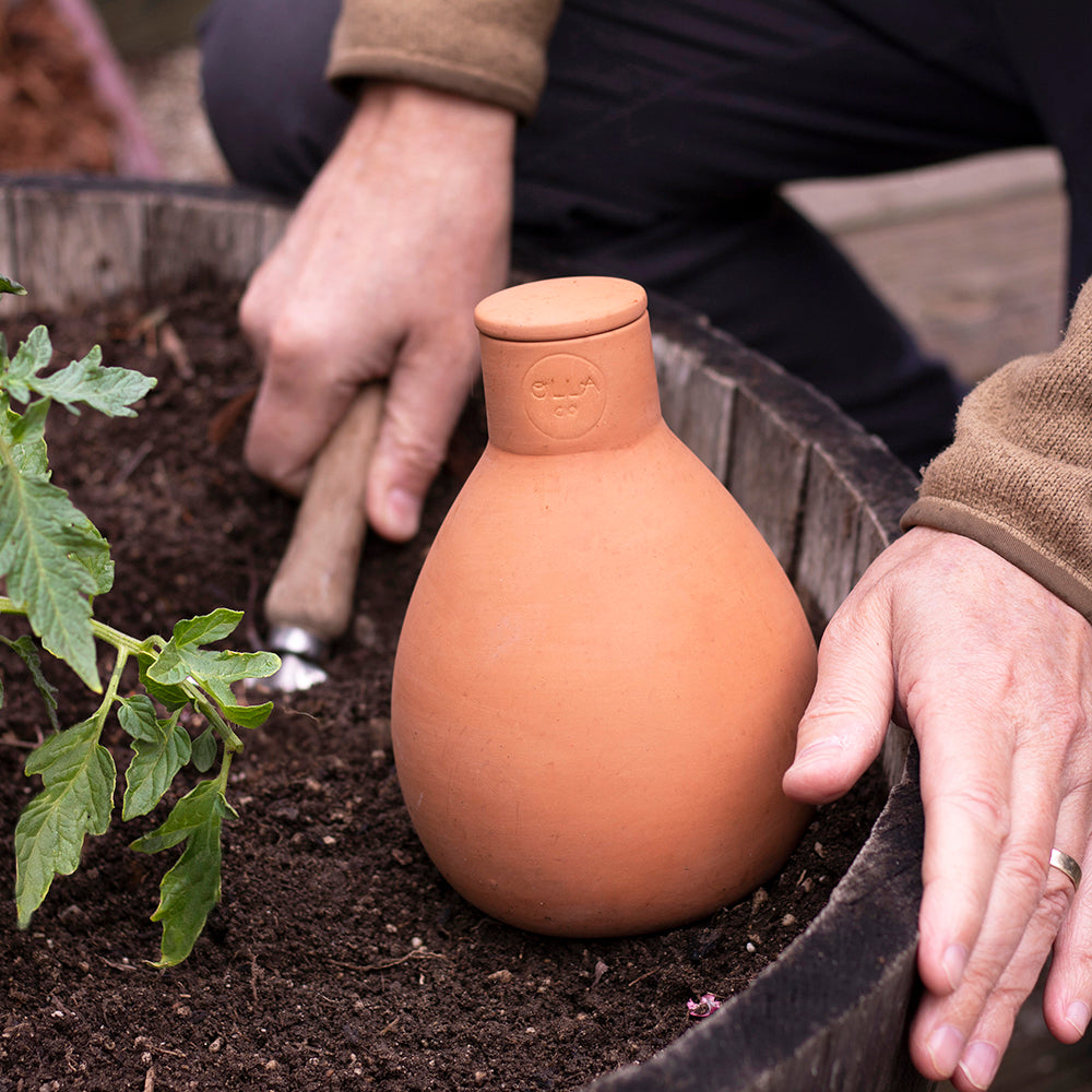 Olla Watering Pot