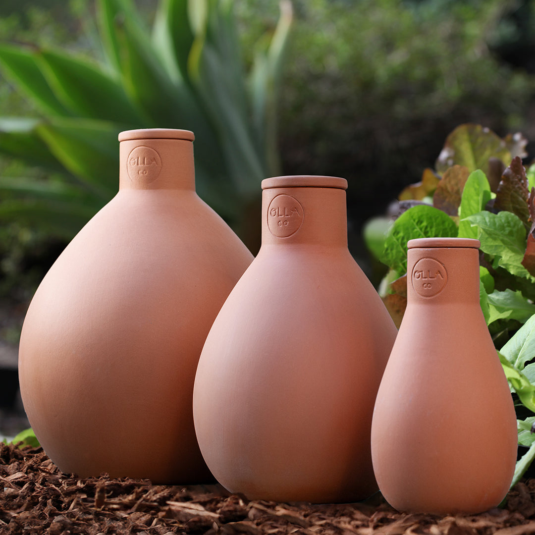 Olla Watering Pot