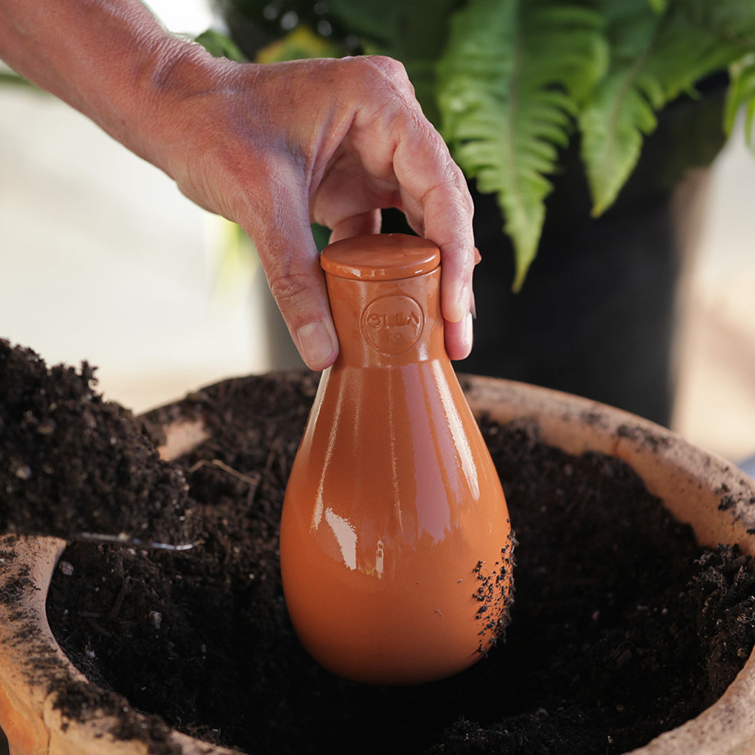 Olla Watering Pot