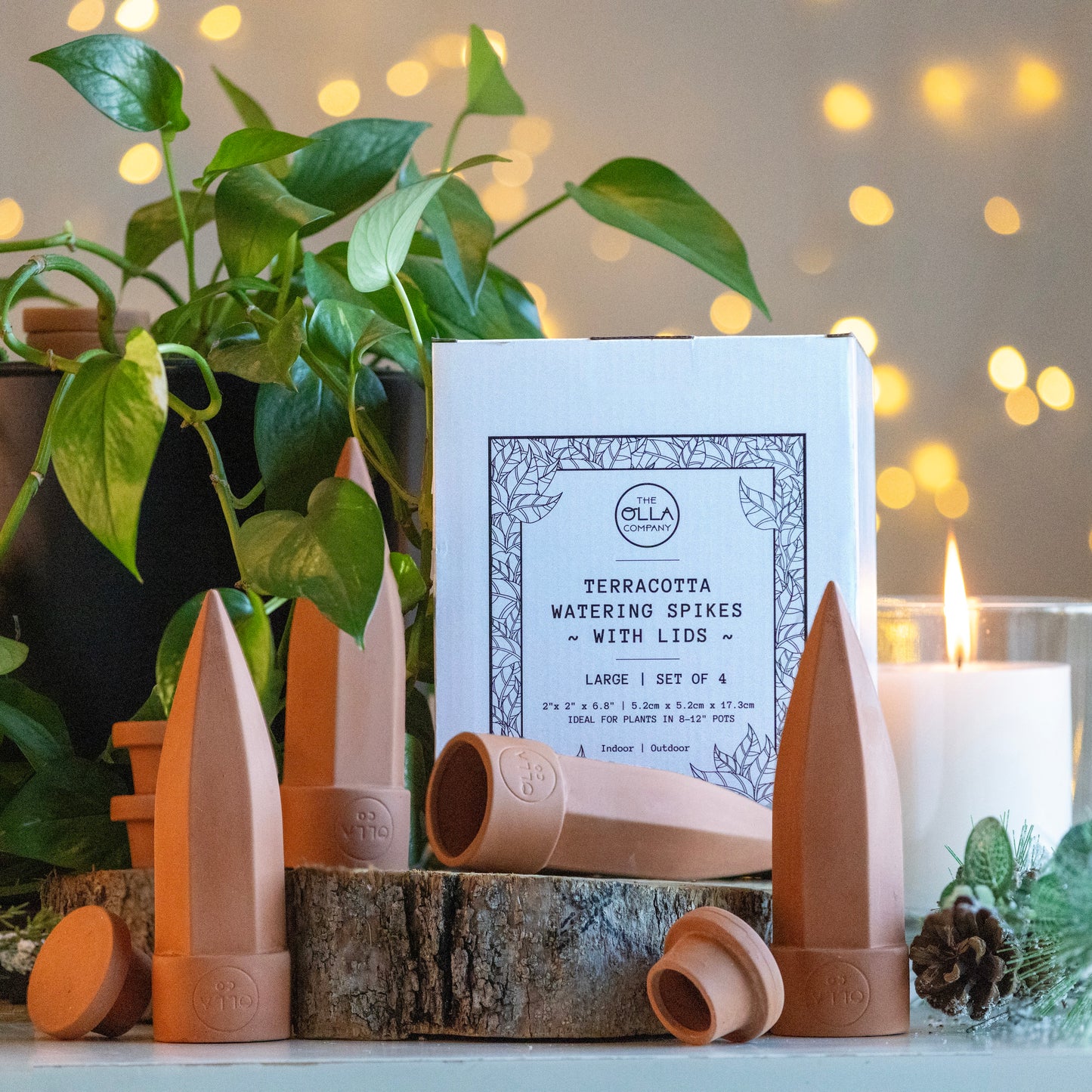 Olla Watering Spikes