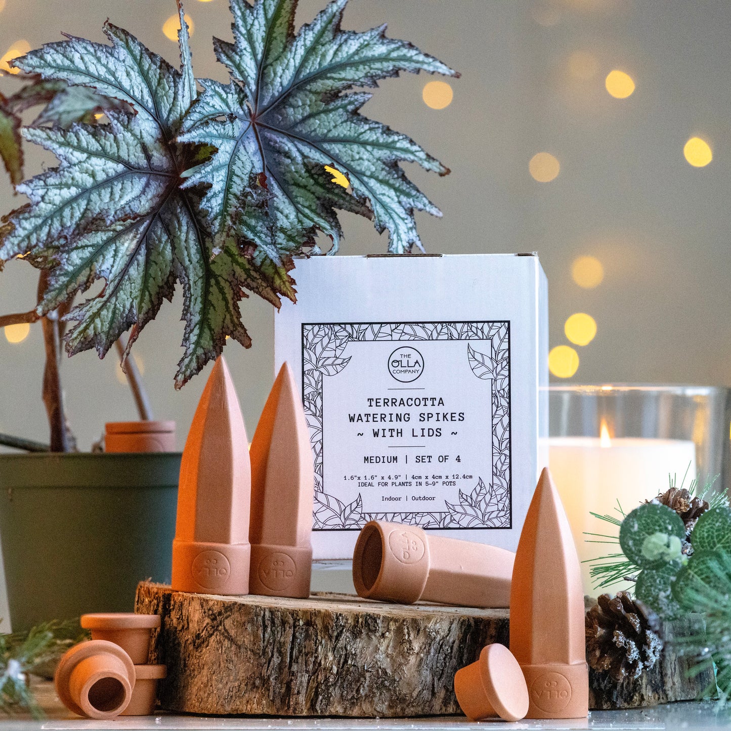 Olla Watering Spikes