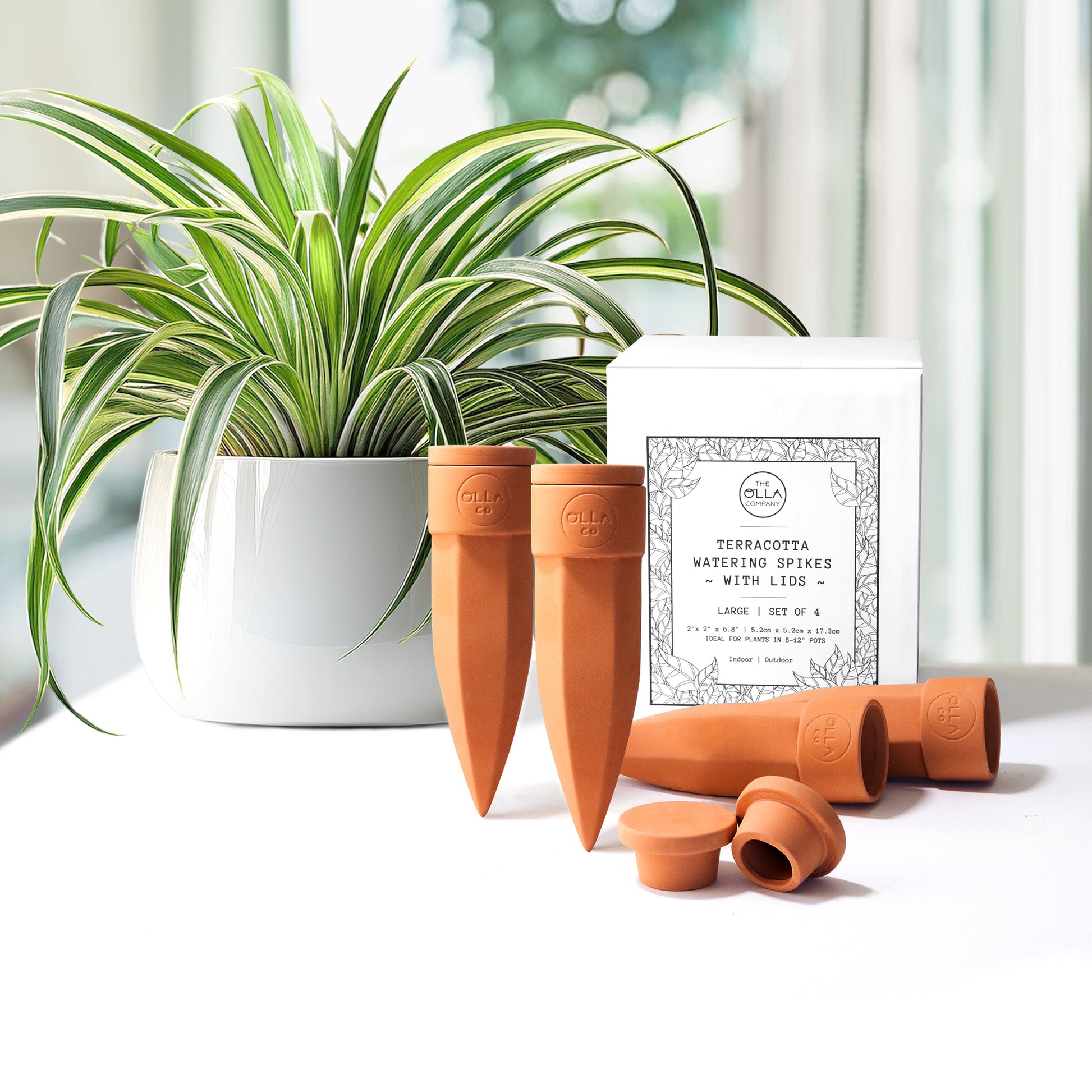 spike plants for flower pots Olla Watering Spikes – The Olla Company
