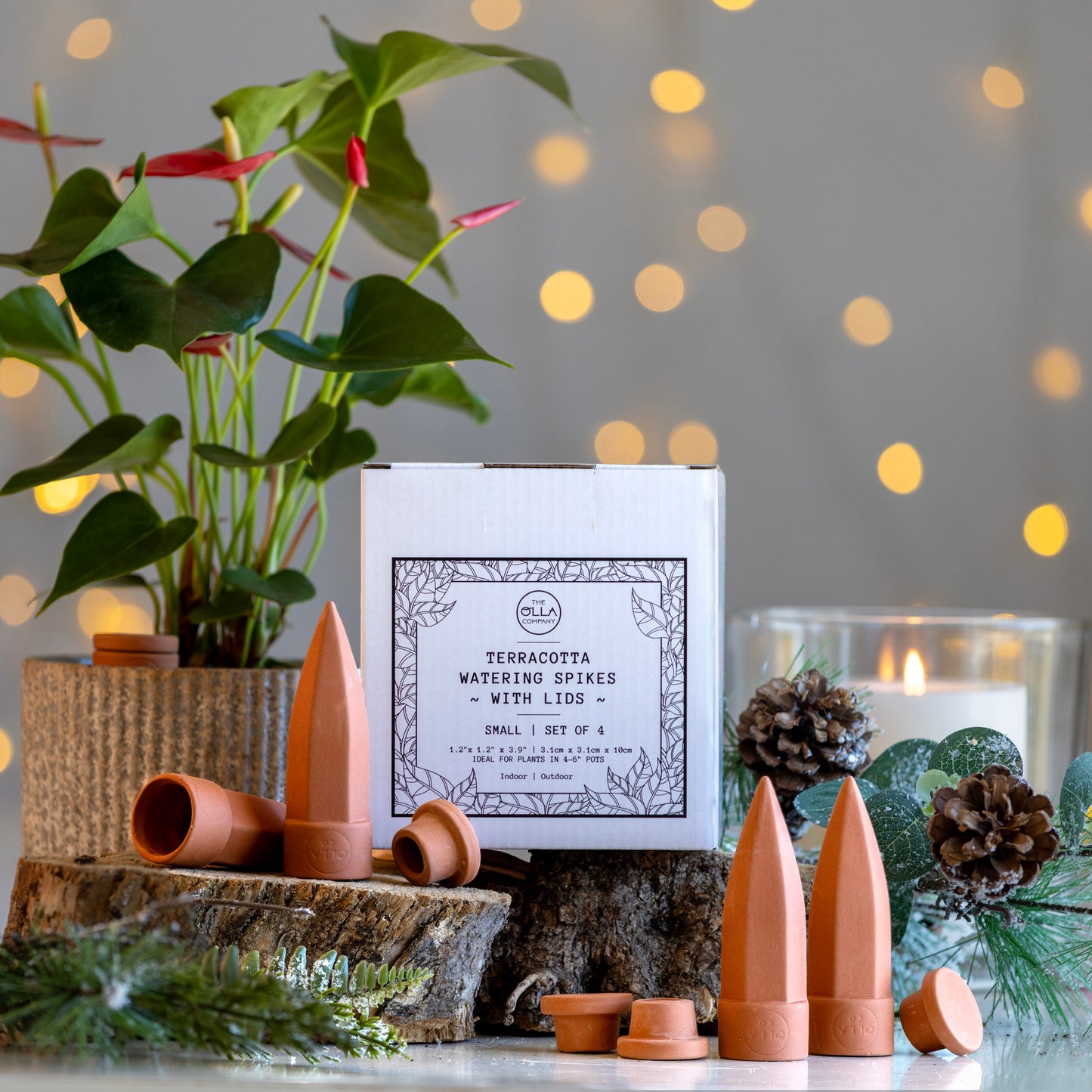Olla Watering Spikes